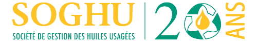 Logo 20 ans SOGHU